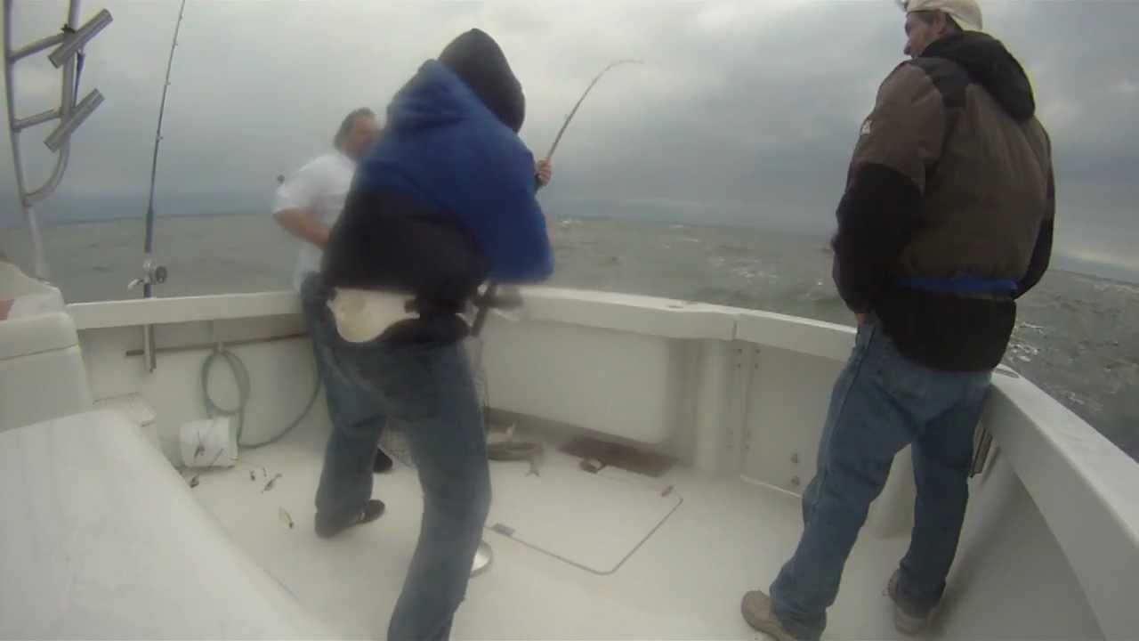 a Saturday Stomp, fish on!