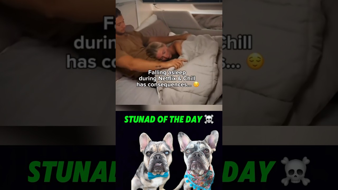 A Stunad’s ultimate Dutch Oven💨 prank ☠️🤣😳 #reaction #viral #dogs #funny #dutchoven