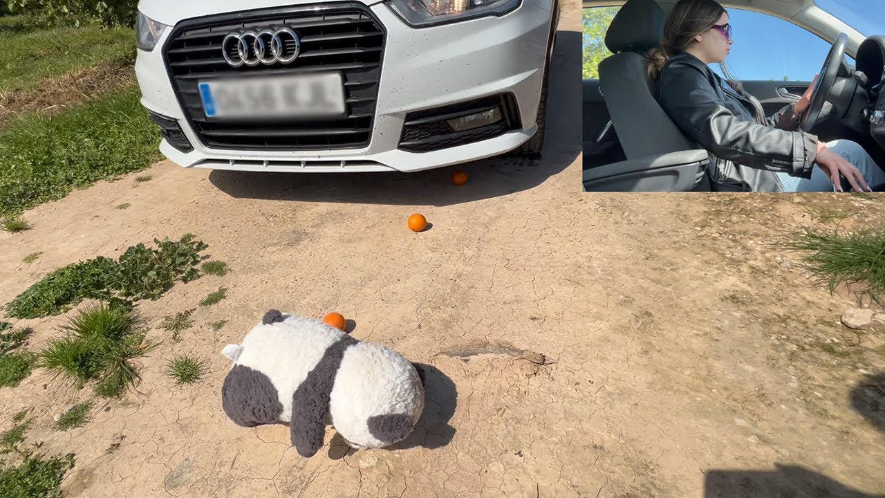 A Woman Runs OVER A Stuffed Animal With Her Car - CAR CRUSH TIRE