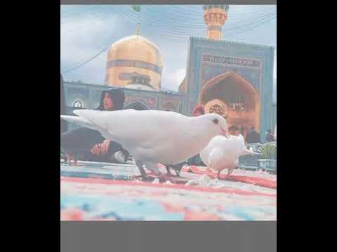 Aç yolu qoy gəlim Kərbəlayə..