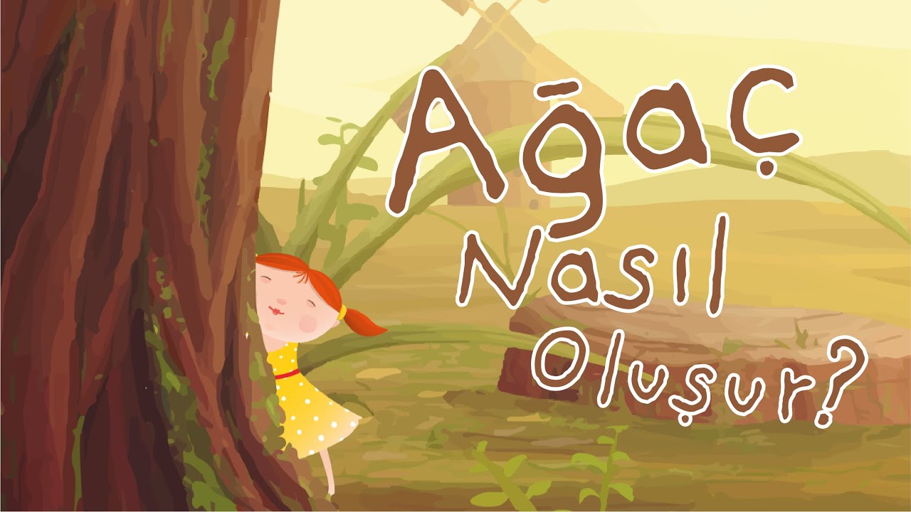 Ağaç Nasıl Oluşur? - Oluşum Hikâyeleri - Okul Öncesi Eğitim