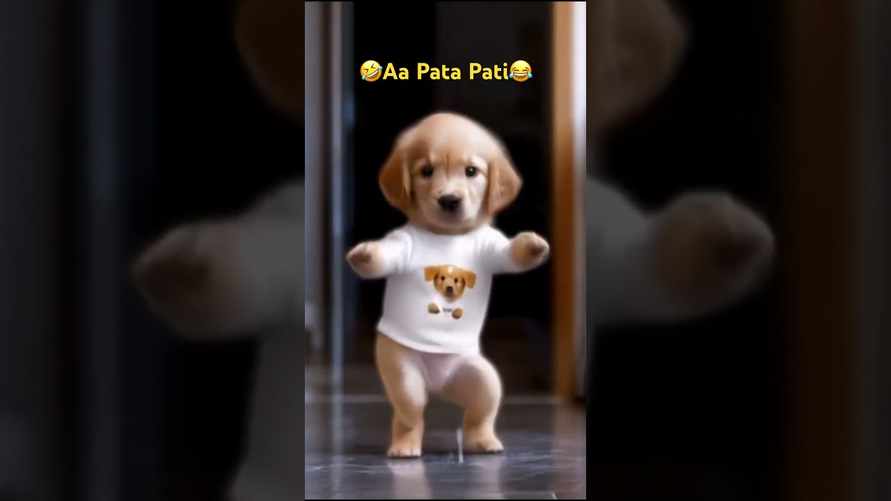 Aa Pata Pati