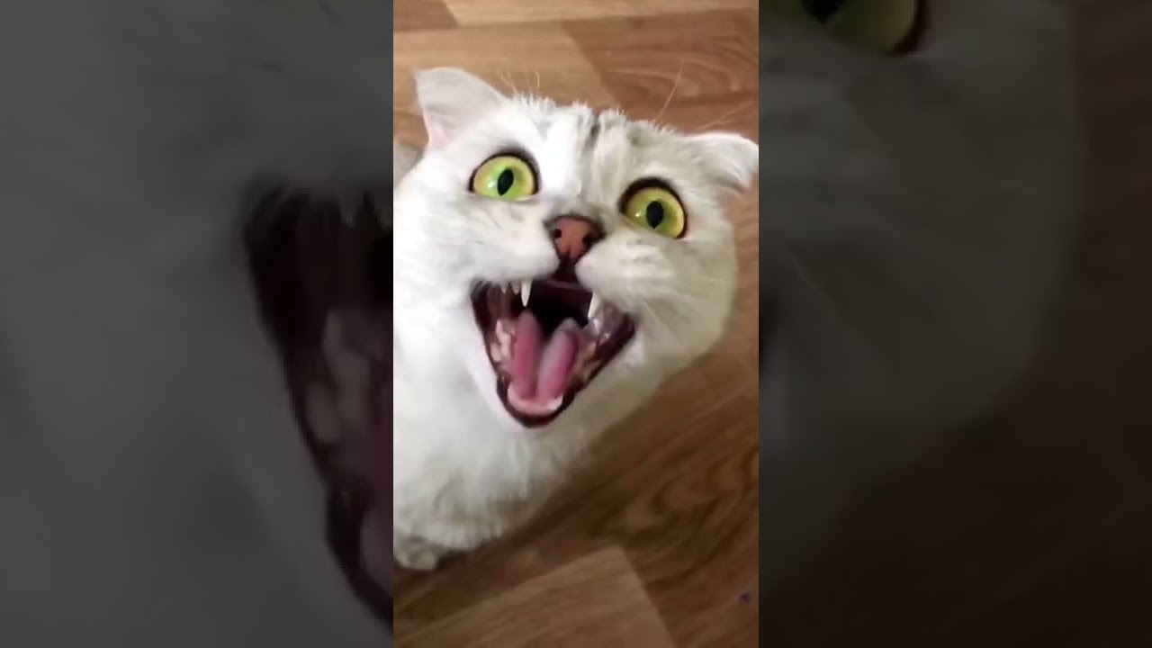 AaAaAaA