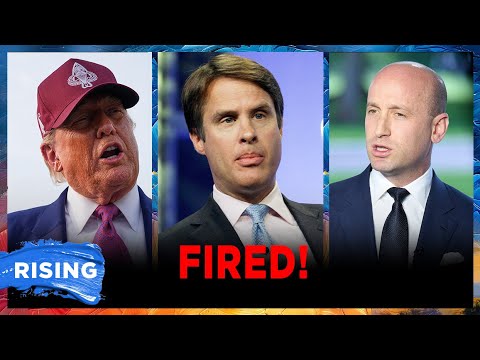 ABC Reporter OUSTED For Posting ATTACK On Trump, Stephen Miller | RISING