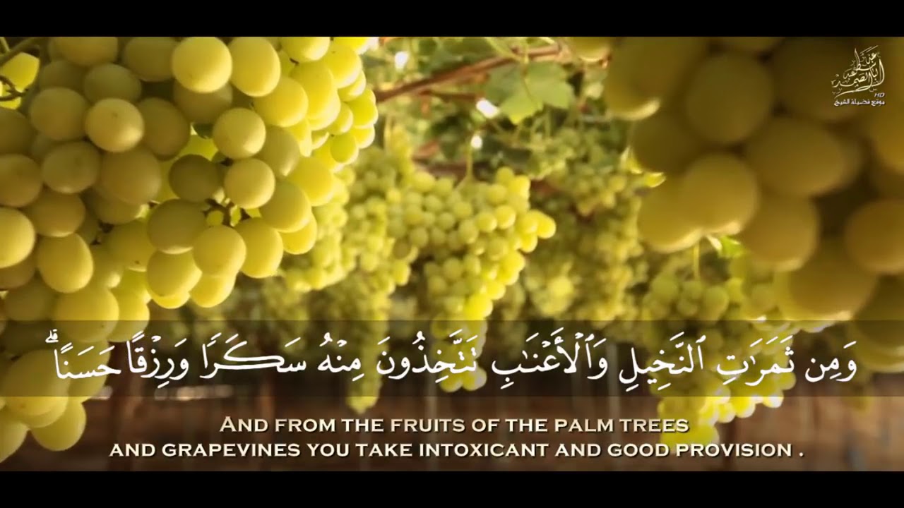 ABDULBASIT MUHAMMED ABDUSSAMED NAHL SURESİ