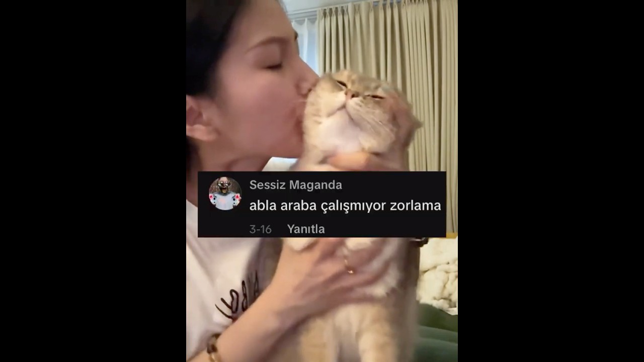 Abla galiba kediyi seviyo 😂
