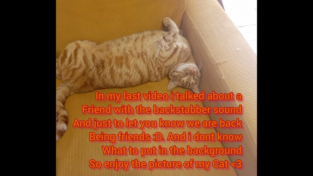 About my last video ❤️❤️❤️ (thank you all for the support)