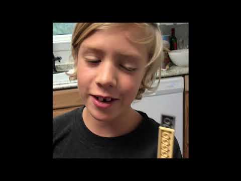 Acadia and LEGO-Crushing Lobster