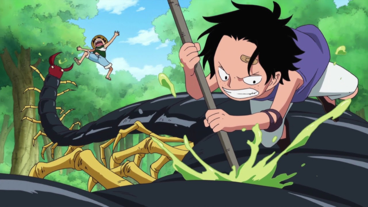 Ace and Luffy Growing up Together