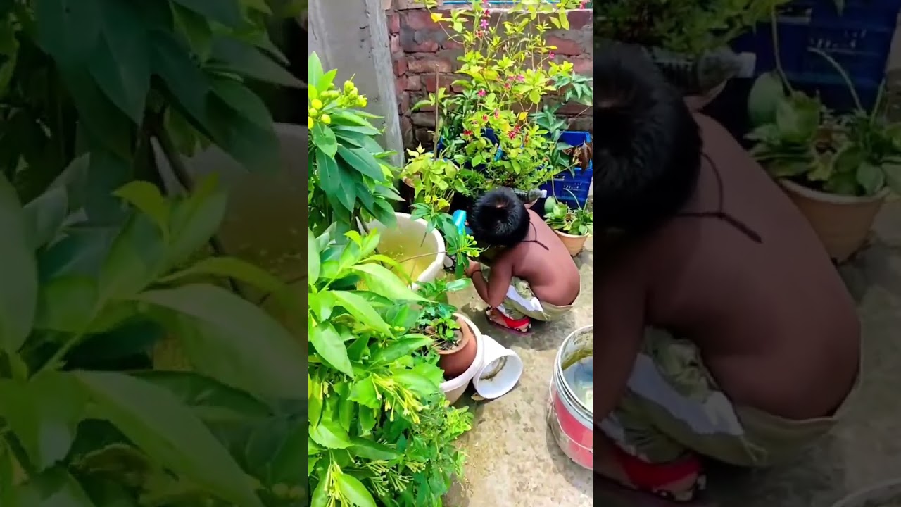 acha acha achacho viral😂#cutebaby#funny#shorts#trending#comedy#subscribe#youtubeshorts#viral