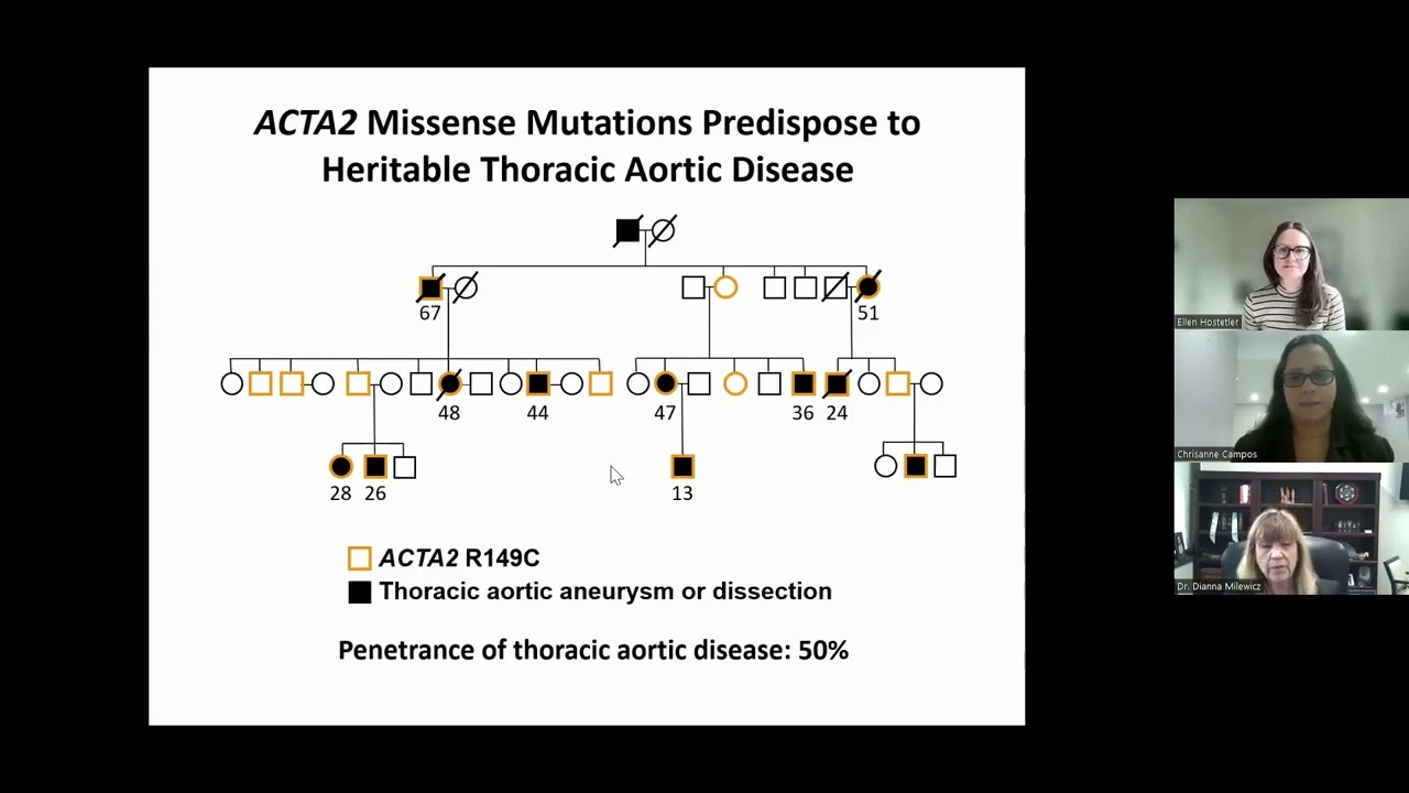 ACTA2 – Associated Genetic Aortic Disease: Overview and Current Understanding from Research