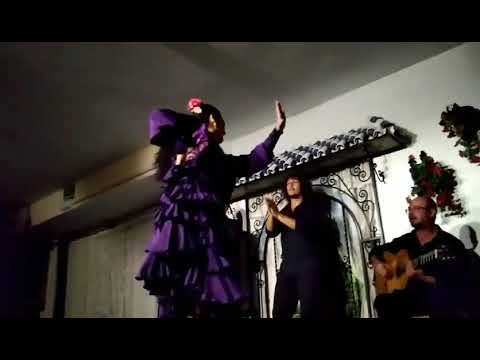 Actuación flamenca en la Peña Torres Macarena, Sevilla