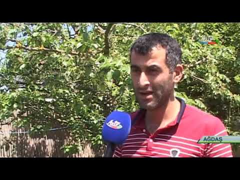 Ağdaşda 