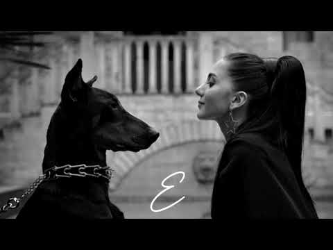 ADAM & Isko Alvarez, Emin Nilsen - Zhurek & Clone, Leyla & Dreaming - Car Music 2024