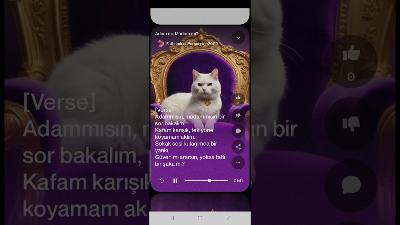 adam mı madam mi