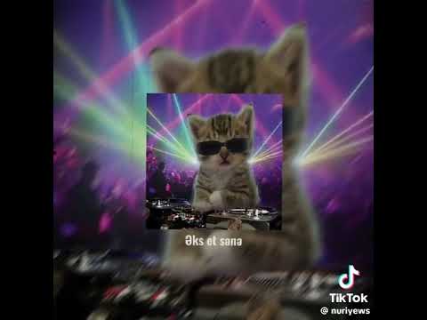 aşdan sonra disko😂