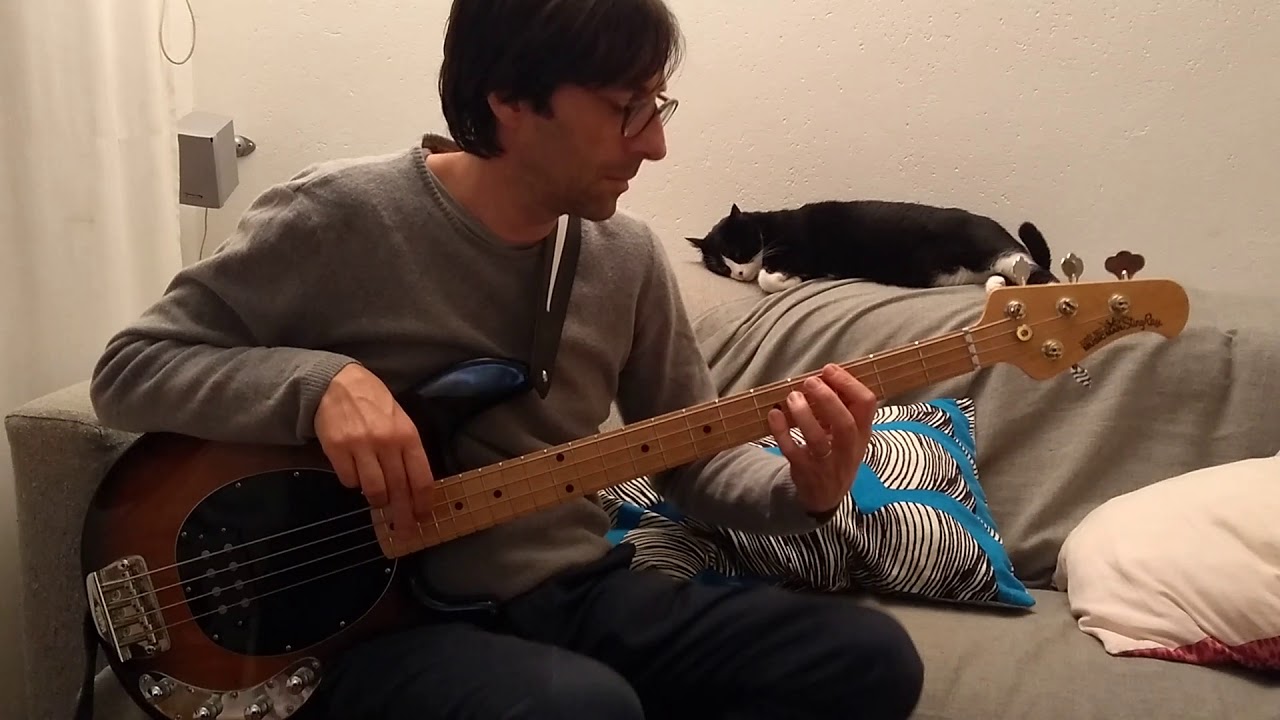 Adele - Chasing Pavements Bass Cover
