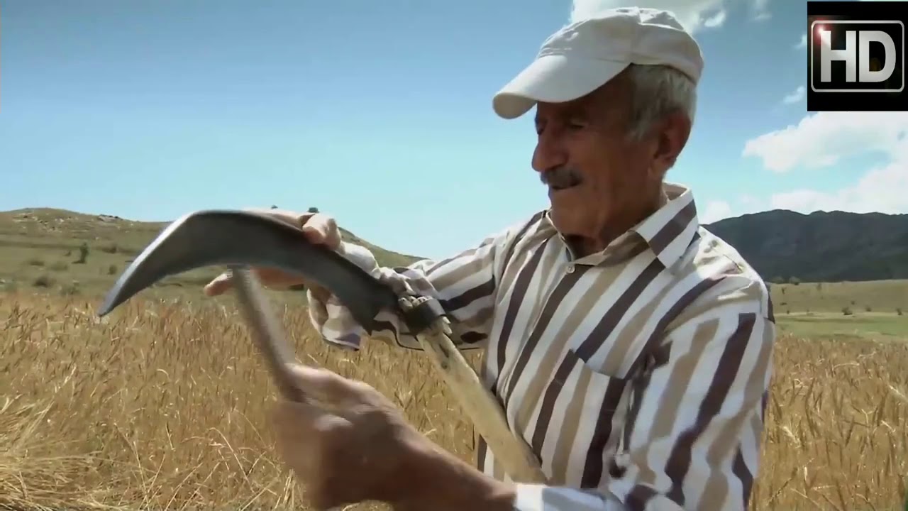 ADEM AYDAŞ mor yazmalım
