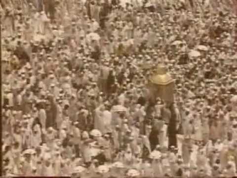 Adem Pala-Don