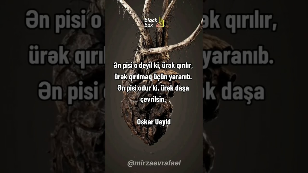 #aforizm #sitatlar #menalisozler #mənalısözlər #mənalıstatuslar #sözler #sözlər #kəlamlar