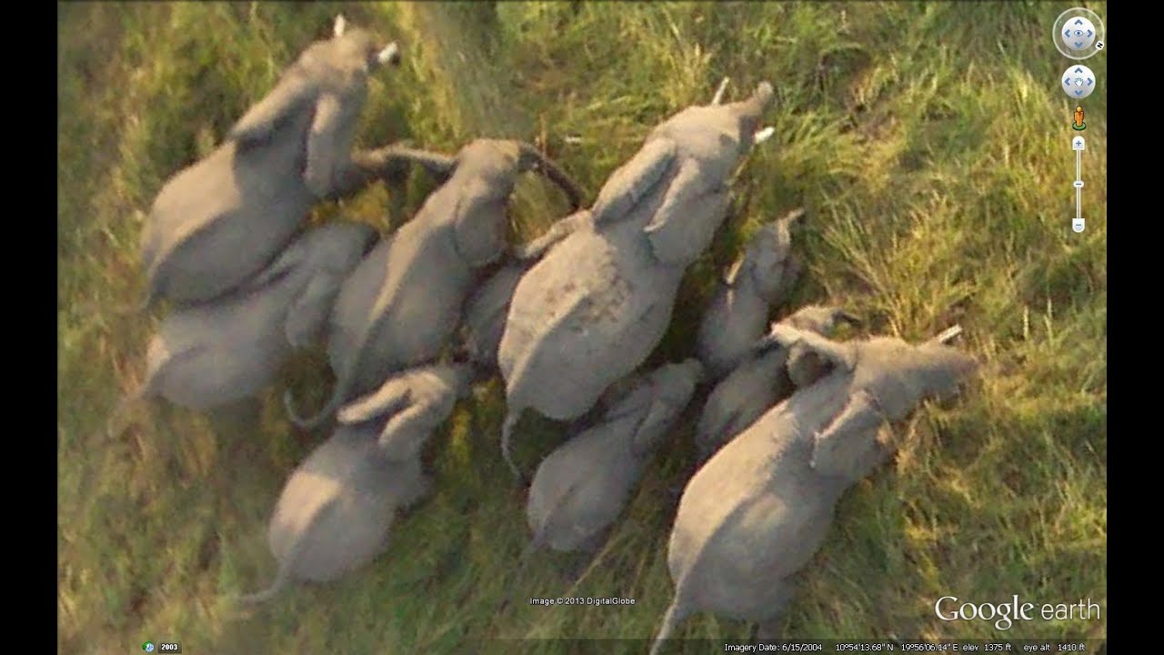AFRICAN SAFARI (HIGH RESOLUTION) IN GOOGLE EARTH  PART  TWO ( 2/2 )