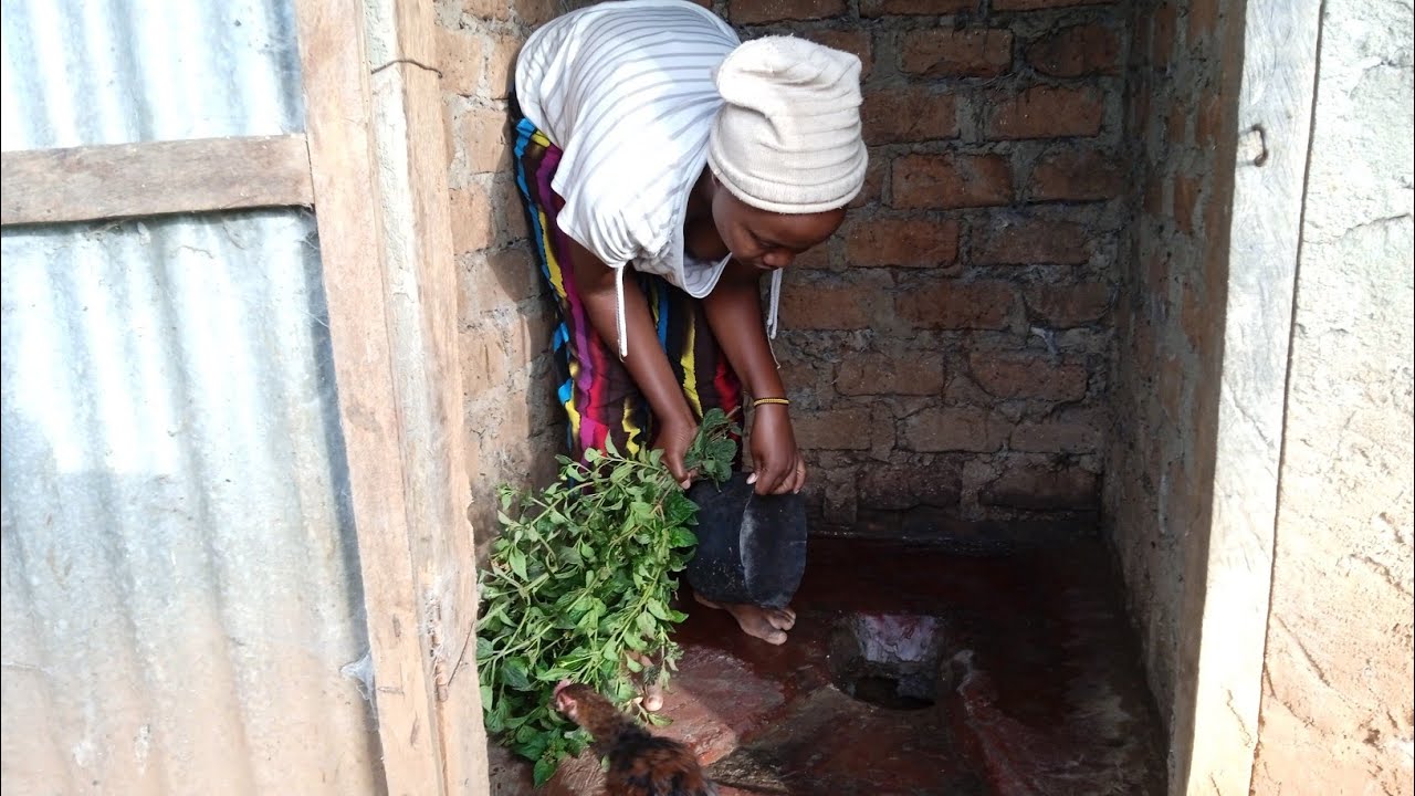 African village life cleaning pit latrine using Lantana & Ash
