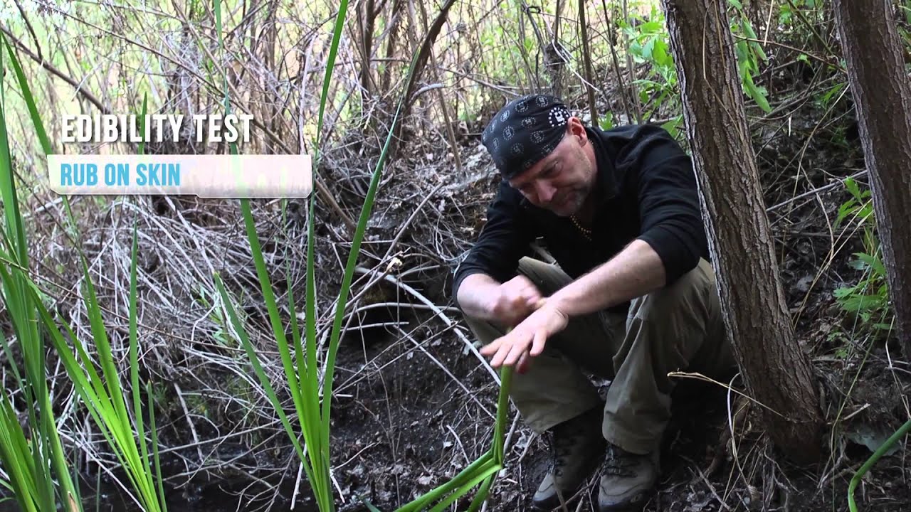 AFTER EARTH Survival Tips - Episode 4: What To Eat