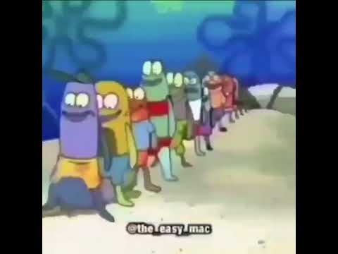 Ahlayan süngerbob balığı