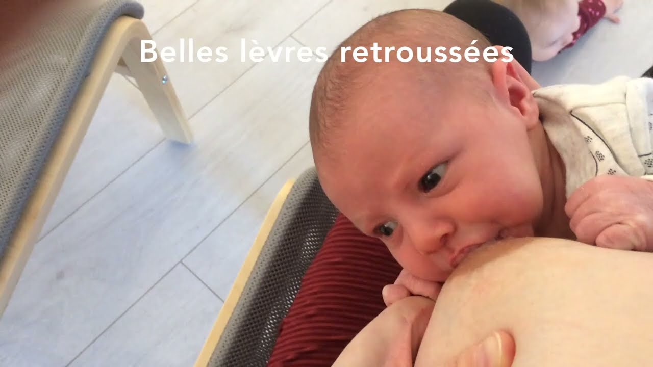 Aide à l'allaitement : Bonne prise au sein