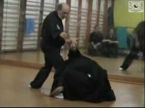 Aikido Kishintai 02c - 360 x 288