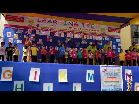 aingini school performance