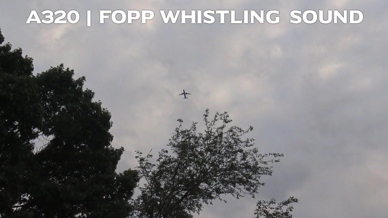 Airbus A320 FOPP Whistling Sound | Alaska Airlines