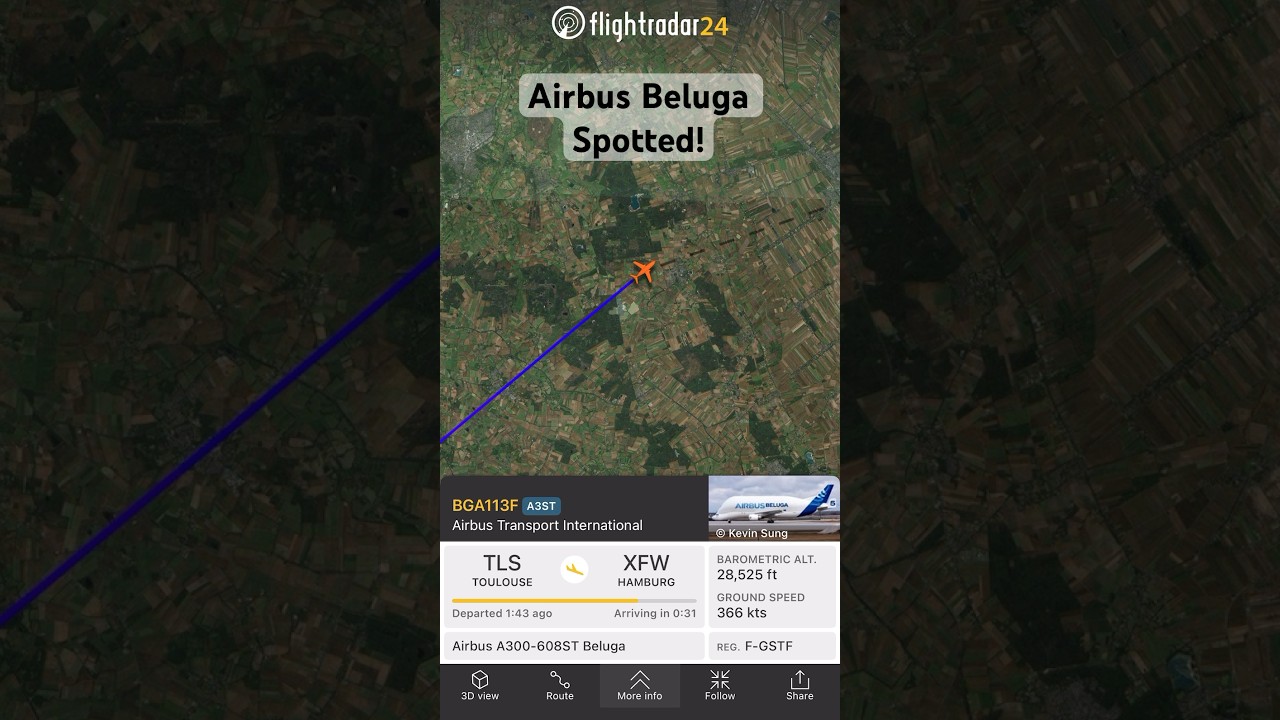 Airbus Beluga Spotted on Flightradar24! (F-GSTF; Airbus A300-608ST)