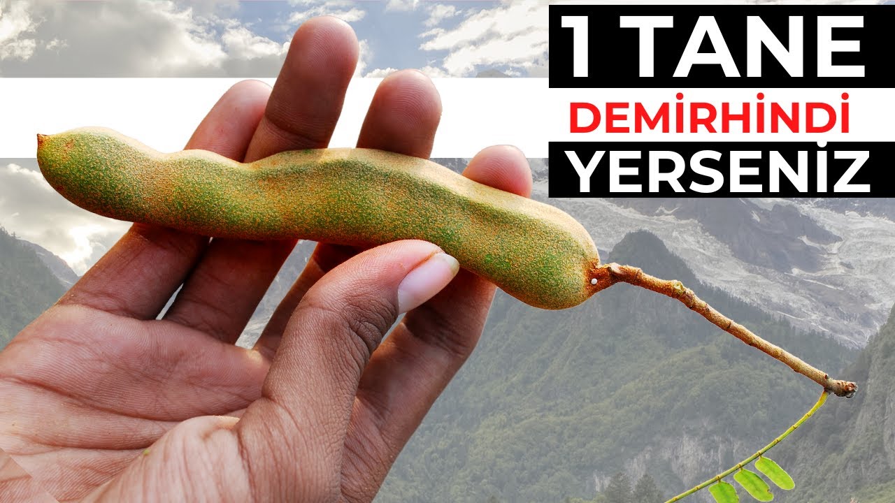 Akşamları 1 Tane Demirhindi Yemek Vücudunuza Bunları Yapıyor | Demirhindinin Faydaları Nelerdir?