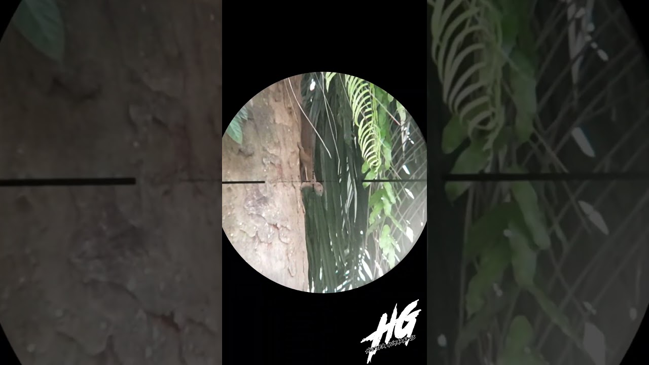akibat kolaborasi bogel feat slug begini jadinya #viral #shorts #huntergumarapus
