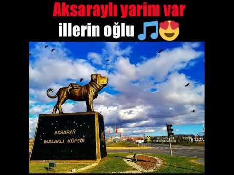 Aksaraylı yarim var illerin oğlu