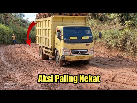 Aksi Nekat Sopir Truk Sawit Bikin leher sampai Tegang