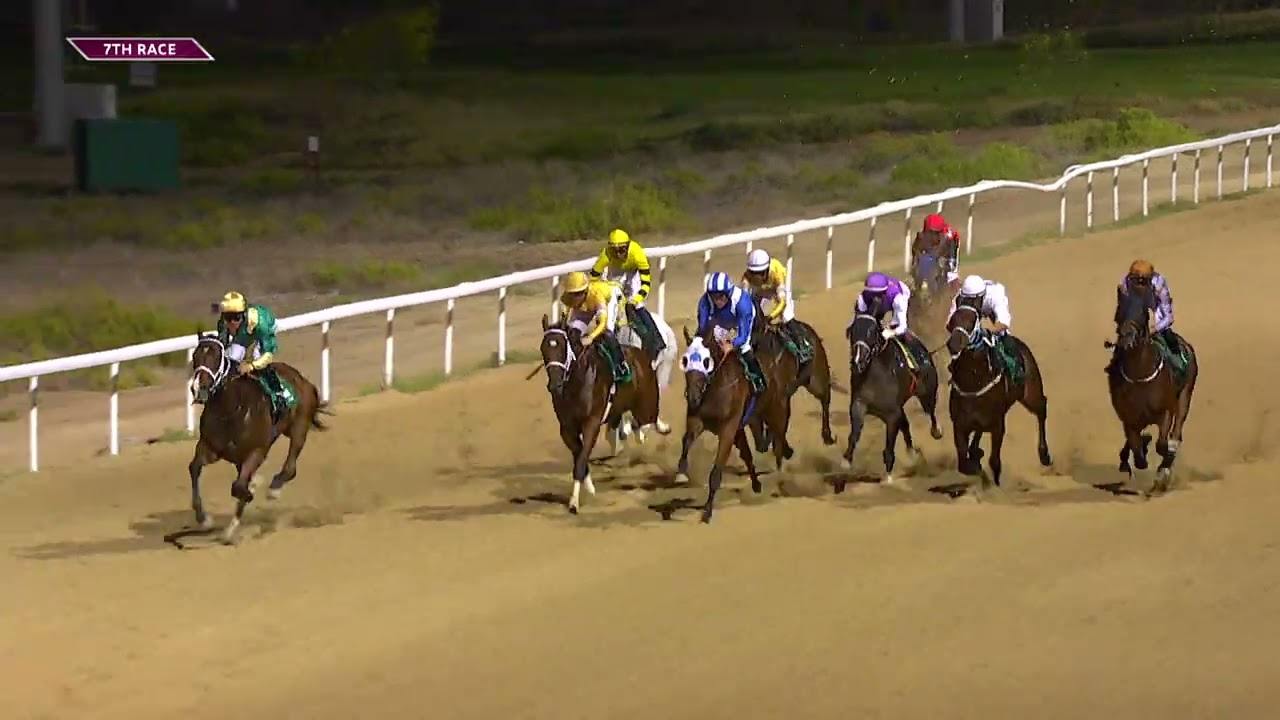 Al Ain 3 10 23 Race 7
