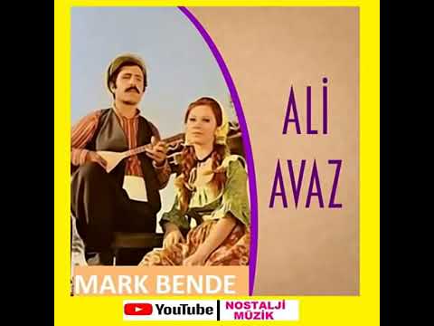 ALİ AVAZ & MİLLET ODUN KÖMÜR ALAMIYOR VERMEYENİN AVRADINI