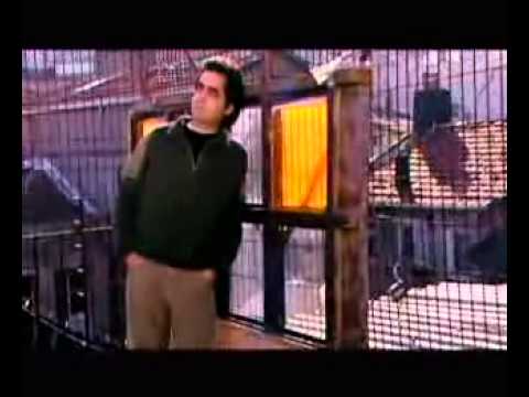 ALİ ÖZEL - ARGUVANLIM ( Orjinal Klip)