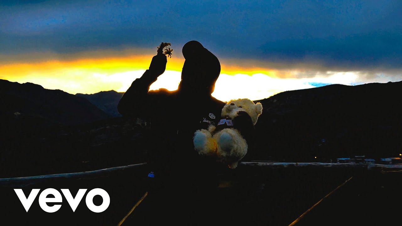 Alan Walker Style - Do Me The Favor (Official Music Video)