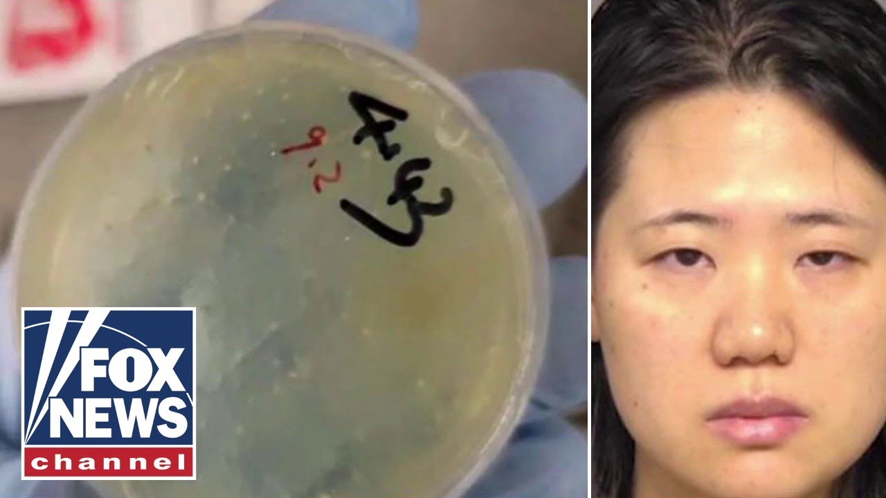 'Alarming': ANOTHER Chinese national accused of smuggling bio weapon into US