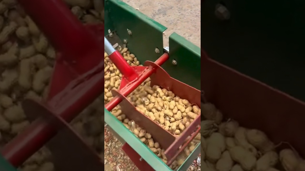 alat pengupas kacang tanah #shorts #shortvideo #alat
