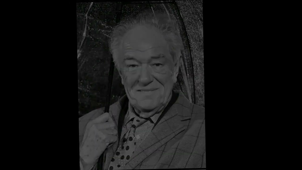Albus Dumbledore(Michael Gambon) now vs then  #lenkimas #harry #dumbledore