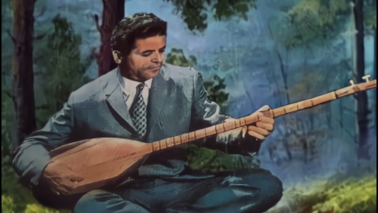 Ali Ercan - Hanı Ya Nazlı Yarim Senin Sözlerin  1966 ( Ölürüm Görmem )