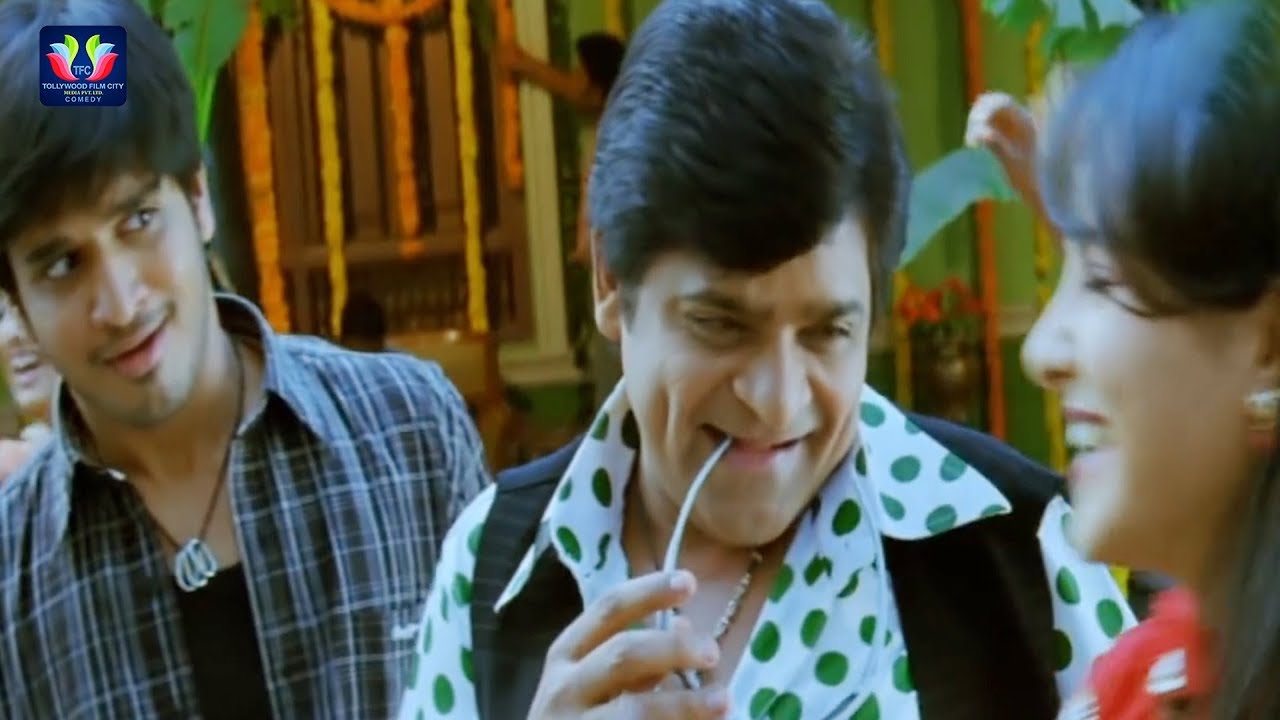 Ali Ultimate comedy Scene Veedu Theda Movie || Latest Telugu Comedy Scenes || TFC Comedy