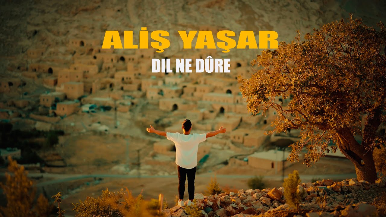 Aliş Yaşar - Dil Ne Dûre 2024 Official Klip