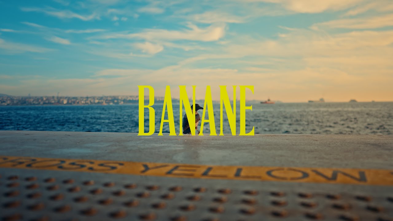 ALI471 X BATUFLEX - BANANE 🤷‍♂️ (Prod. by. Yung Rox & Murdsdrum) [OFFICIAL VIDEO]