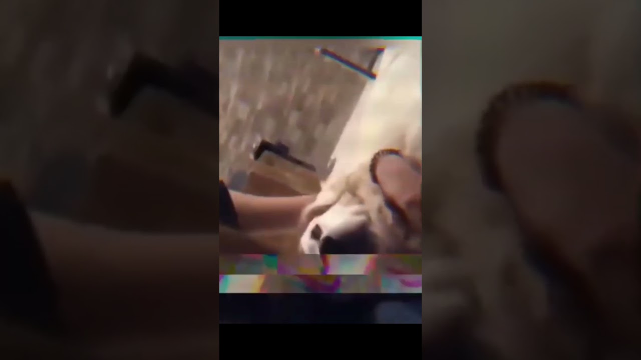 alizeh shah leaked video 😍