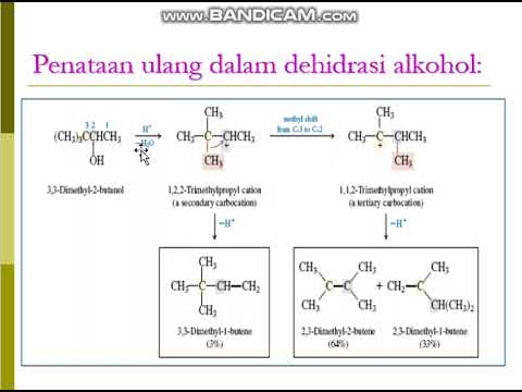 (Alkena & Alkuna) SINTESIS ALKENA | KimOr 1